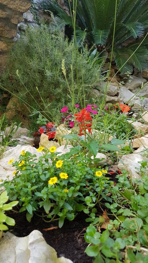 Apartment Tomecek Selce Dış mekan fotoğraf