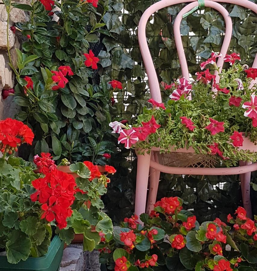 Apartment Tomecek Selce Dış mekan fotoğraf